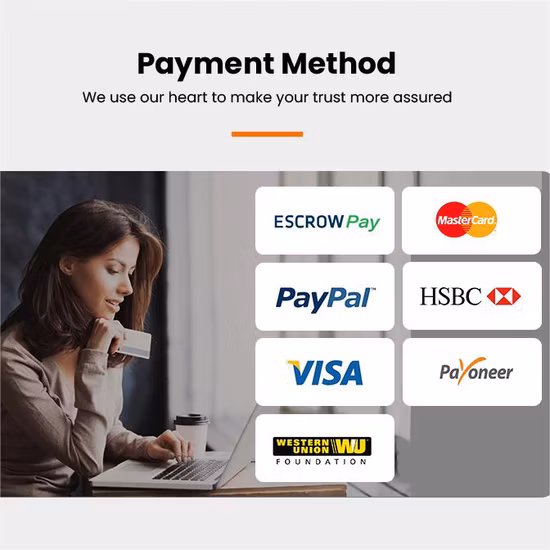 Luftfracht-/Seefracht-/DDP-Service von Shenzhen China nach Philippinen durch 13 Jahre Spediteur