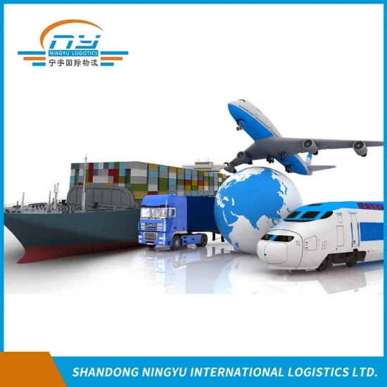 Import- und Exportzollabfertigung/Lagerservice/LKW-Service in Ningbo